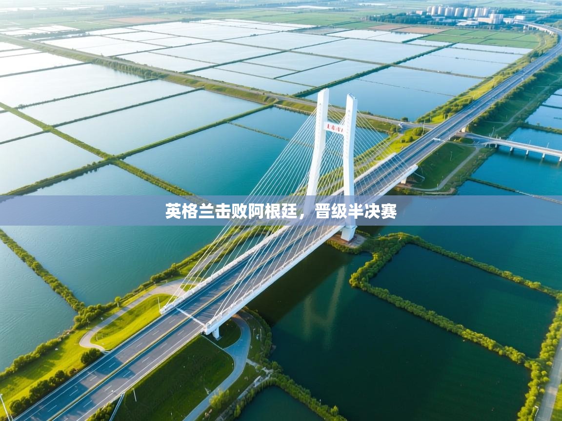 英格兰击败阿根廷，晋级半决赛  第1张